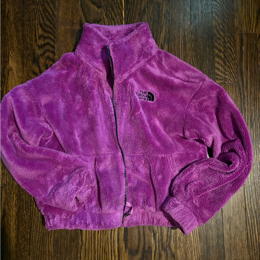 Girls size 10-12 Purple Fleece Jacket by The North Face